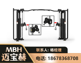 怀化大飞鸟训练器