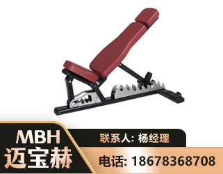 怀化可调哑铃椅
